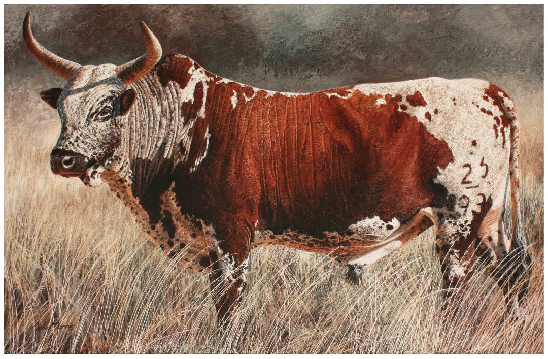 Kaliepie, the bull